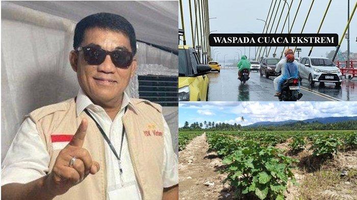 3 Berita Terpopuler Kemarin: Harga Minyak Nilam Melonjak, Warga Sulut Bekerja Seperti Robot 3 Berita Paling Heboh Di Sulut Pelantikan Ysk Cuaca Ekstrem Harga Minyak Nilam Tembus Rp 22 Juta
