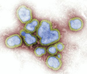 Apakah Flu Sangat Parah Daripada COVID-19? Ini Fakta Nyata! Aa1u1cps