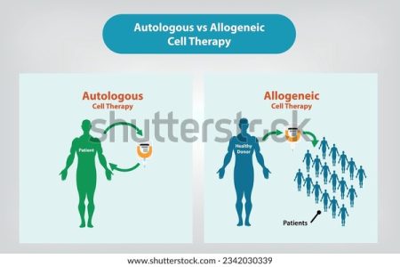 Autologous Vs Allogeneic Cell Therapy 600w 2342030339