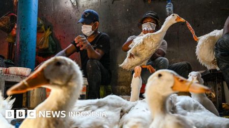 Cirebon Siaga Flu Super, Masyarakat Diminta Waspada dan Perhatikan Gejalanya E2558bf0 B74f 11ed B8ab 3b900d8f4995