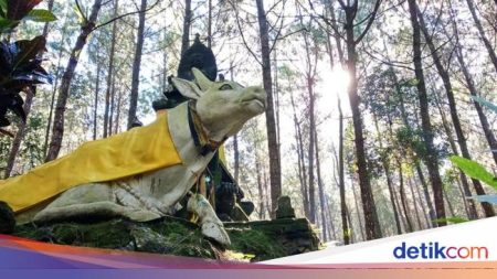 Wisata Pluralisme Di Banyuwangi Yuk Datang Ke Antaboga 169