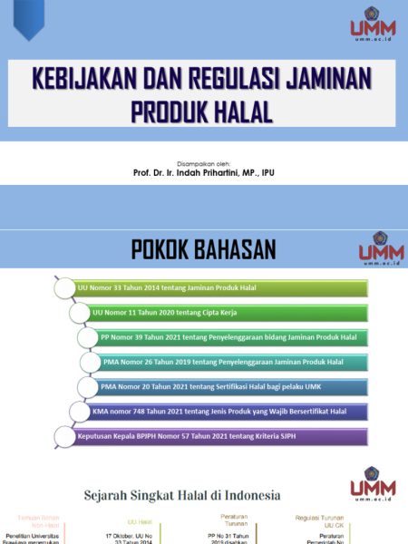 Penjelasan Kemenko tentang Perjanjian Tarif RI-AS dan Impor Produk hingga Sertifikasi Halal