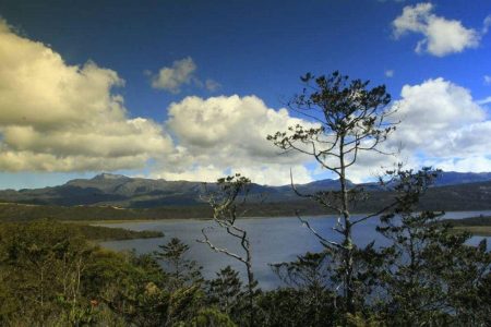 5 Danau Tinggi di Indonesia, Ranu Kumbolo Masuk Daftar
