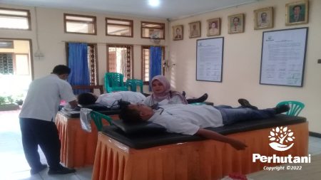 Donor Ok