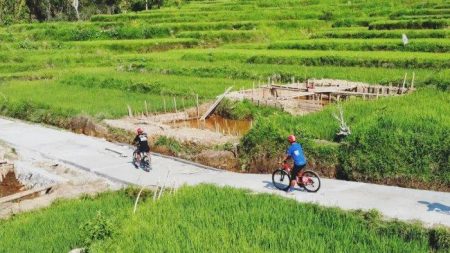 Wayan Koster ke Golo Mori, Jelajah Wisata Terpadu Bali–NTB–NTT Sepeda Di Sawah Golo Loni