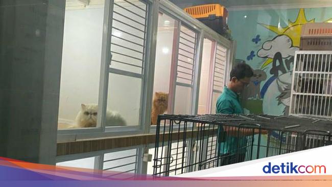Nastar Kediri Premium Ludes Dipesan Jelang Lebaran, Omzet Capai Rp 25 Juta