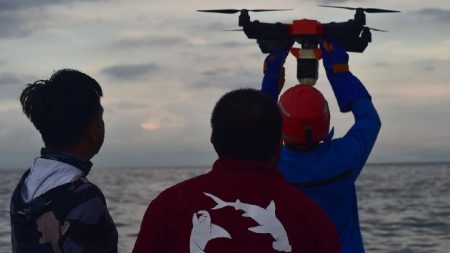 Tim Peneliti Pasang Tag Satelit Pada Paus Menggunakan Drone