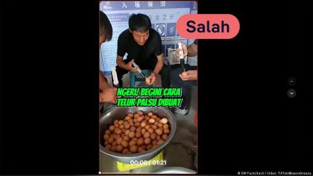 Pemeriksaan fakta: Telur palsu benar-benar ada di Indonesia?