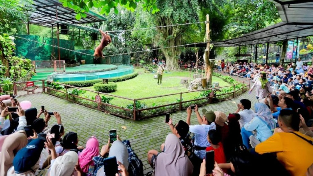 Promo Tiket Masuk Gembira Loka, Gratis untuk 3 Kategori Pengunjung