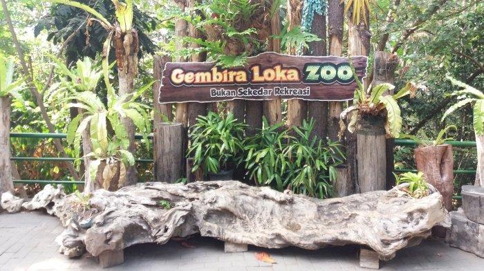 Panduan Wisata ke Gembira Loka dari Solo dengan KRL dan Trans Jogja, Ini Harganya