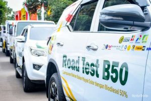 Tak hanya RI, negara-negara Asia Tenggara kini berebut biofuel