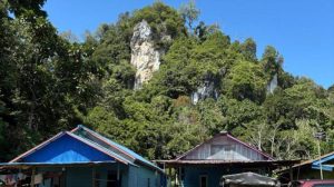 Pesona Gunung Putih, Wisata Hiking Gratis di Kalimantan Utara