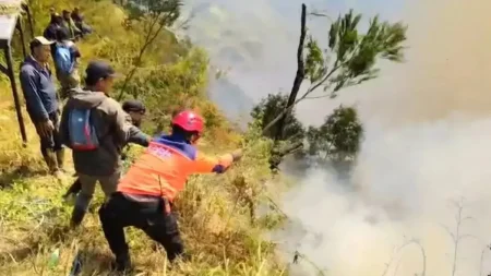 Kemenhut Perkuat Pemadaman Kebakaran di TNBTS, Wisata Ditutup Sementara
