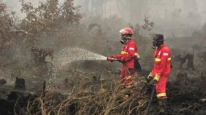 Profil Masrupah Syarifuddin istri Sekda Kalsel yang gelar pesta ultah mewah di tengah karhutla